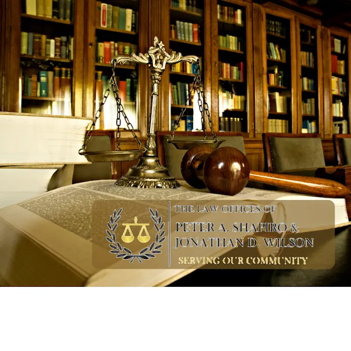 The Law Offices of Peter A. Shapiro & Jonathan D. Wilson 5