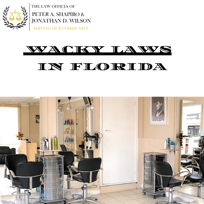 The Law Offices of Peter A. Shapiro & Jonathan D. Wilson 5