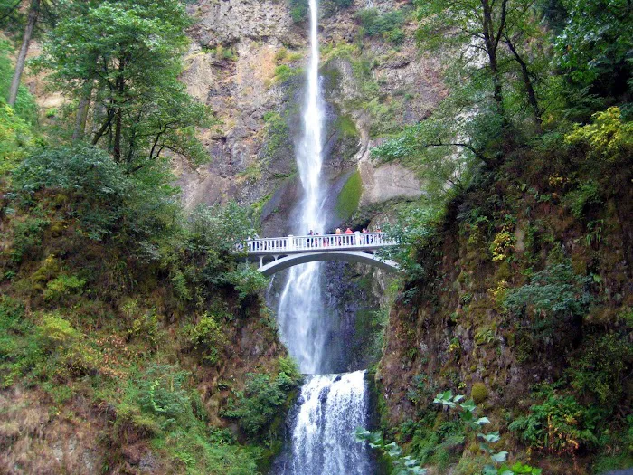 Pacific Northwest Probate, LLC 5