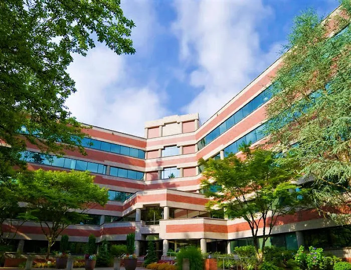 The Law Office of Byung M. Lee P.C. 5