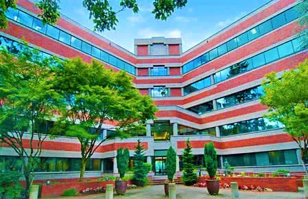 The Law Office of Byung M. Lee P.C. 5