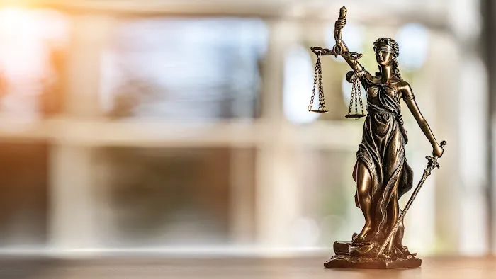Chehimi Law 4