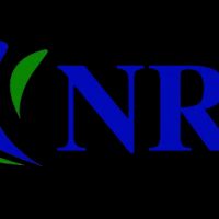Neel, Robinson & Stafford, LLC. ico