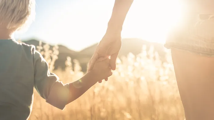 Borsellino Law & Mediation, LLC 4