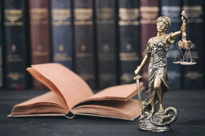 Consebido Law 4