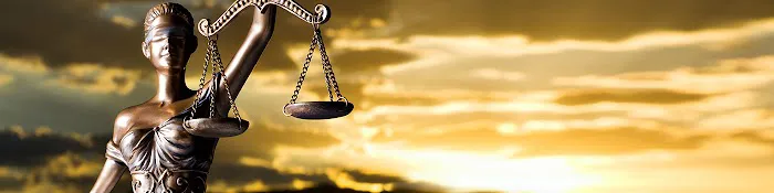 Lerner Law Firm 5