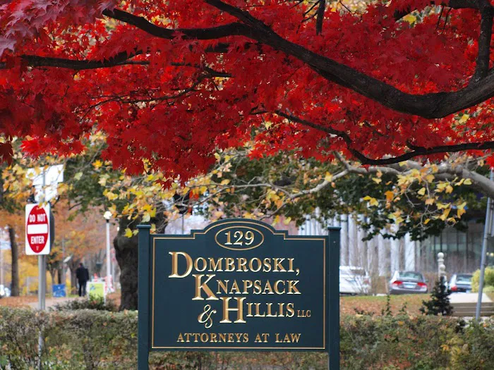 Dombroski Knapsack & Hillis 5