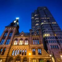 Vining Law Firm ico