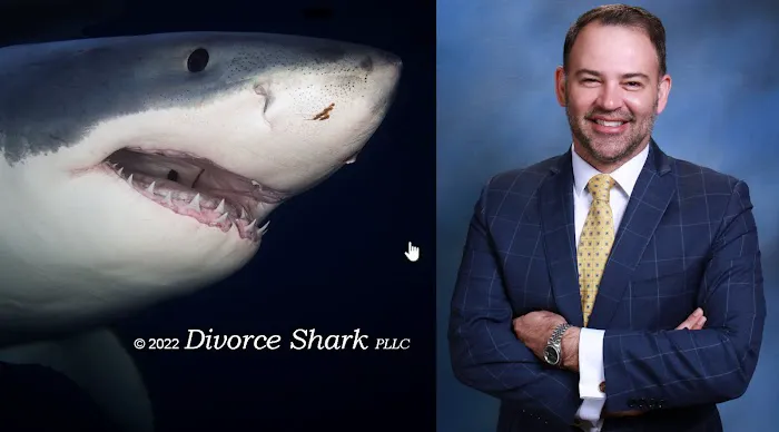 Divorce Shark - Zelotes Divorce Litigation 5
