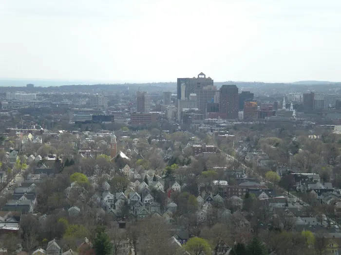 Bachman & LaPointe, P.C. 5