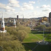 Bachman & LaPointe, P.C. ico