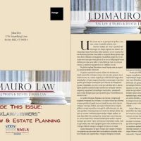 J. DIMAURO LAW, LLC ico