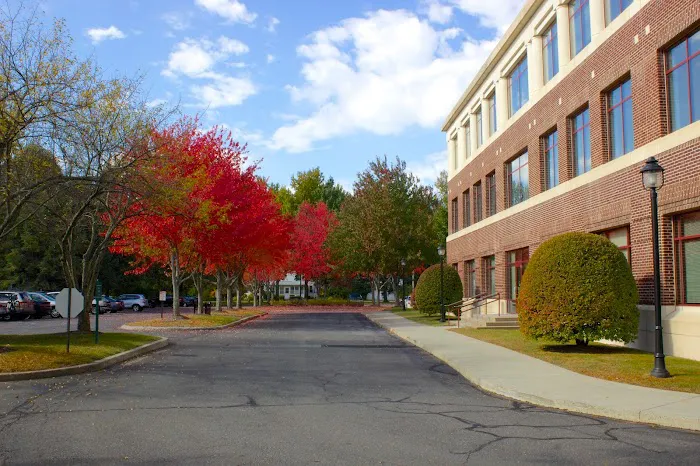 Nirenstein, Horowitz & Associates P.C. 5