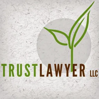 Trustlawyer Llc 4