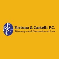 Fortuna & Cartelli PC ico