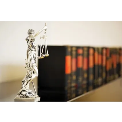 Brian D. Roman, Attorney At Law 5