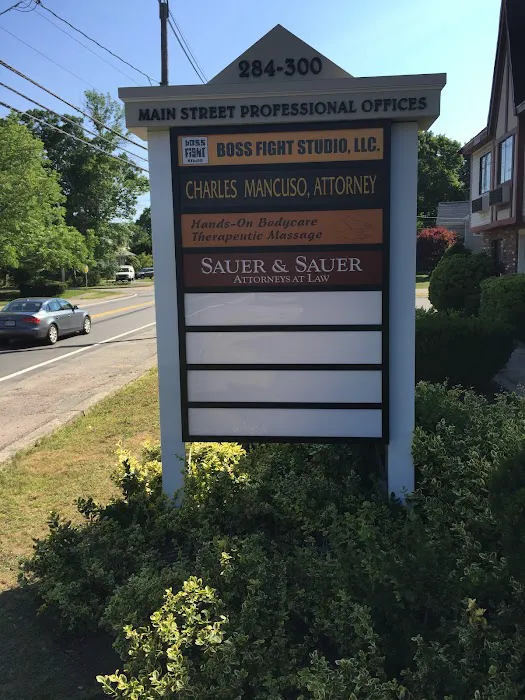 Sauer & Sauer - Knowledge is Money in Your Pocket 4