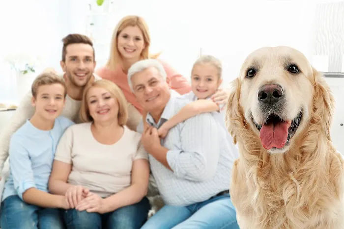 Todd Rosenfield, Estate Planning Attorney 4