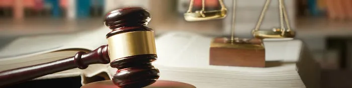 Stephen Fanning Attorney 4