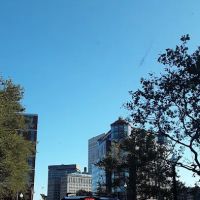 Keches Law Group ico