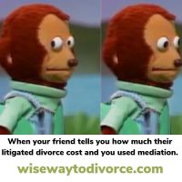 Wise Way to Divorce RI ico