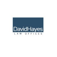 David Hayes Law ico