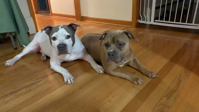 The Bottaro Law Firm, LLC 4