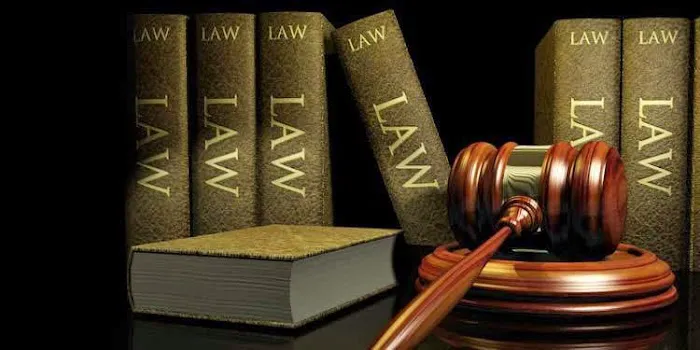 Law Office of Frank D. Camera and Associates PC 4