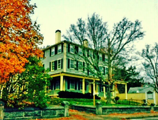 Stewart Law, P.C. 5