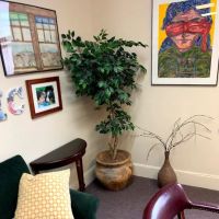 Law Office of Alexander M. Nesson ico
