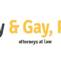 Gay & Gay: David Gay ico