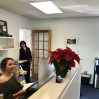 Ambrogio, Pletter & Associates, LLC ico