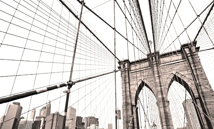 The Immigration Law Offices of David Carvalho, LLC 5