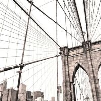 The Immigration Law Offices of David Carvalho, LLC ico
