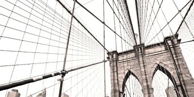 The Immigration Law Offices of David Carvalho, LLC
