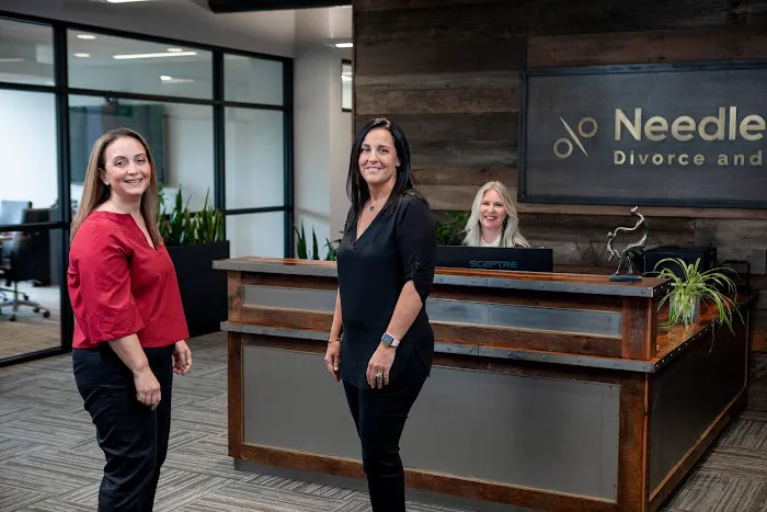 Needle | Cuda: Divorce & Family Law 5
