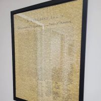 Law Offices of Michael S. Williams, LLC ico
