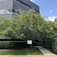 Irene Shor, Esq. LLC ico