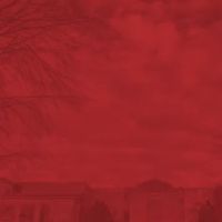 The Bianchi Law Group, LLC ico