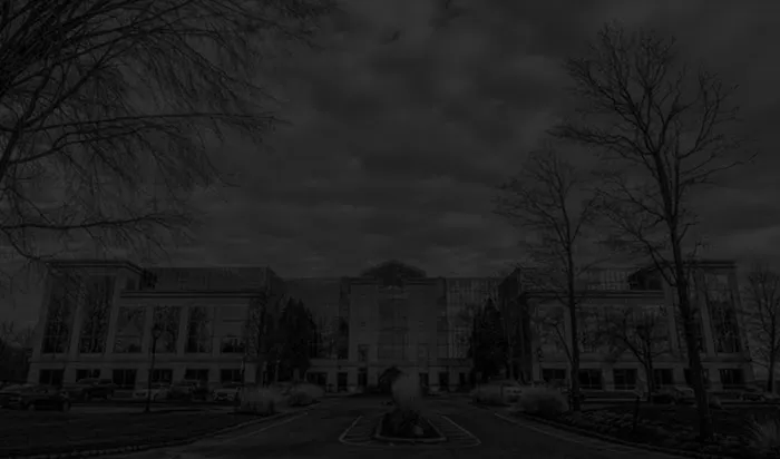 The Bianchi Law Group, LLC 4