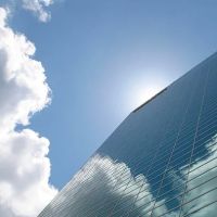 The Denver Law Firm ico