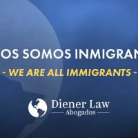 Diener Law ico