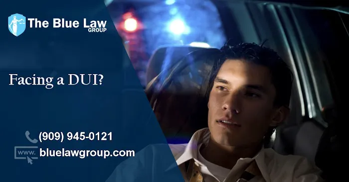 The Blue Law Group Inc. 4