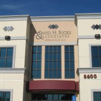 David H. Ricks & Associates ico