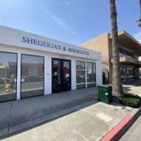 Shegerian & Associates ico