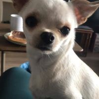 Martin Larry L ico