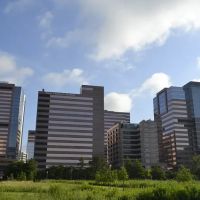 Bennett, Weston, LaJone & Turner, P.C. ico