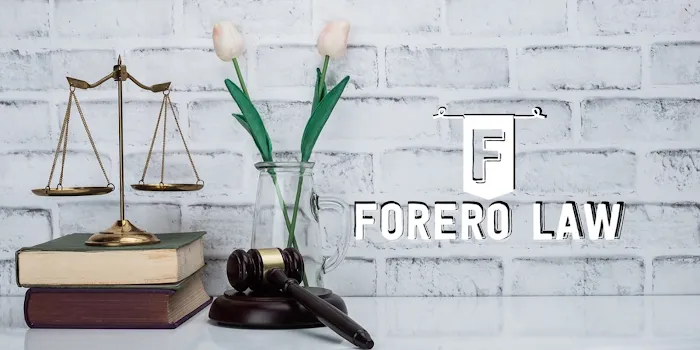 Lina Forero-Niño | Business Attorney 4