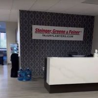 Steinger, Greene & Feiner ico