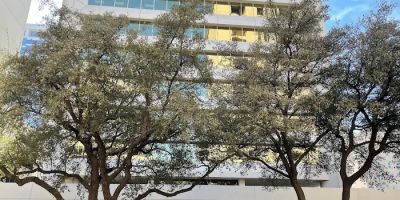 Brian J. Hall; Barnett & Hall PLLC